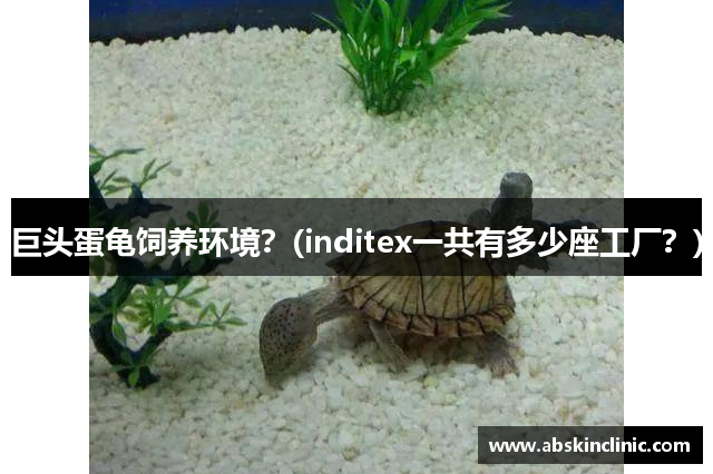 巨头蛋龟饲养环境？(inditex一共有多少座工厂？)